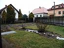 Třibřichy